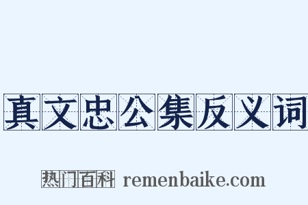 真文忠公集反义词是什么意思的图片